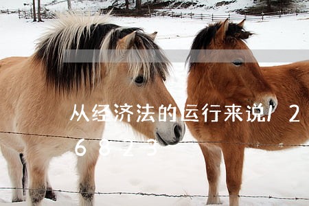 从经济法的运行来说/2023021576823 从经济法的运行来说/2023021576823