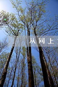 从网上贷款逾期 从网上贷款逾期