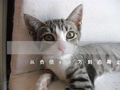 从负债40万到逾期止损 从负债40万到逾期止损