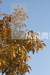 从逼离婚到求原谅 从逼离婚到求原谅