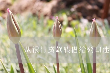 从银行贷款转借给公司违法吗 从银行贷款转借给公司违法吗