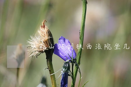 从鞍山站到铁西法院坐几路车