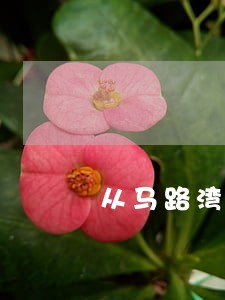 从马路湾到和平法院怎么坐公交车 从马路湾到和平法院怎么坐公交车