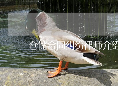 仓储合同纠纷律师介绍 仓储合同纠纷律师介绍
