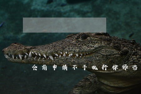 仓前申请不予执行律师咨询 仓前申请不予执行律师咨询