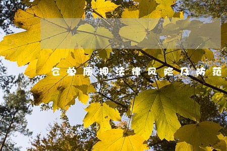 仓单质押法律风险及防范措施 仓单质押法律风险及防范措施