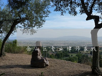 仓山区专业律师在线 仓山区专业律师在线