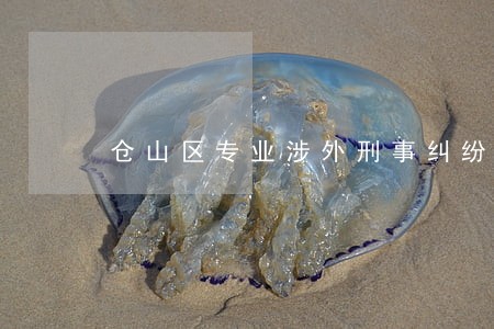 仓山区专业涉外刑事纠纷律师 仓山区专业涉外刑事纠纷律师