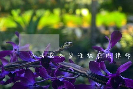 仓山区加盟维权在线律师 仓山区加盟维权在线律师