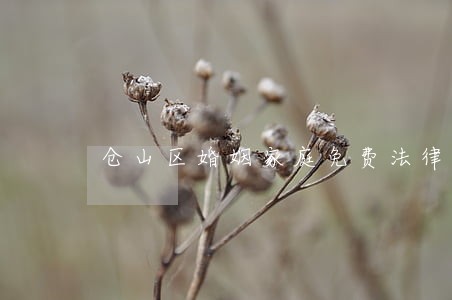 仓山区婚姻家庭免费法律咨询热线 仓山区婚姻家庭免费法律咨询热线