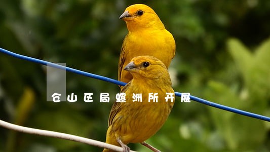 仓山区局螺洲所开展