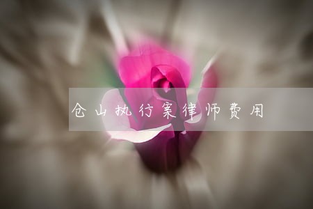 仓山执行案律师费用 仓山执行案律师费用
