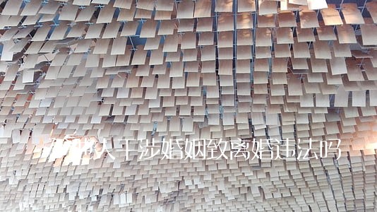 他人干涉婚姻致离婚违法吗 他人干涉婚姻致离婚违法吗