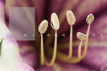 他人欠我钱我早已提起诉讼了 他人欠我钱我早已提起诉讼了