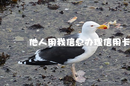 他人用我信息办理信用卡逾期