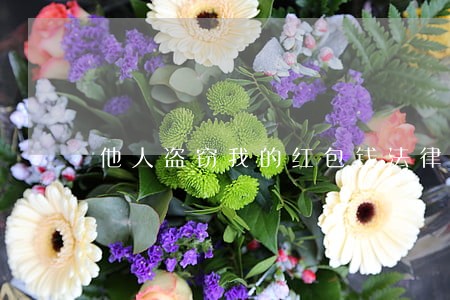 他人盗窃我的红包钱法律有办法吗 他人盗窃我的红包钱法律有办法吗