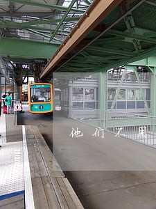 他们不用承担法律责任吗 他们不用承担法律责任吗