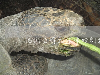 他们会得到法律的制裁 他们会得到法律的制裁