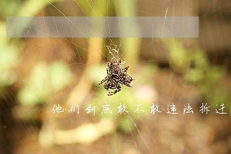 他们到底敢不敢违法拆迁 他们到底敢不敢违法拆迁