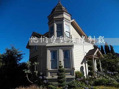 他们受到法律制裁 他们受到法律制裁