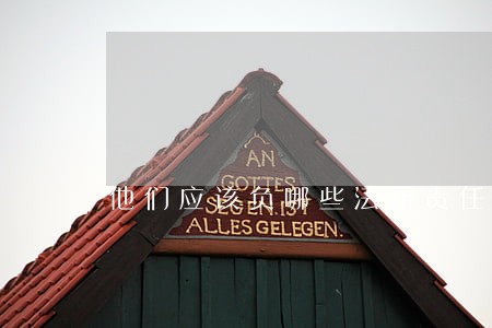 他们应该负哪些法律责任 他们应该负哪些法律责任