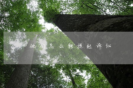 他们怎么能提起诉讼 他们怎么能提起诉讼