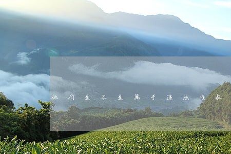 他们是不是属于违法催收 他们是不是属于违法催收