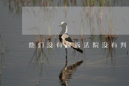 他们没有起诉法院没有判决 他们没有起诉法院没有判决