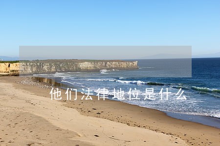 他们法律地位是什么 他们法律地位是什么