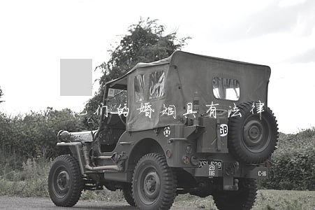 他们的婚姻具有法律效力吗 他们的婚姻具有法律效力吗