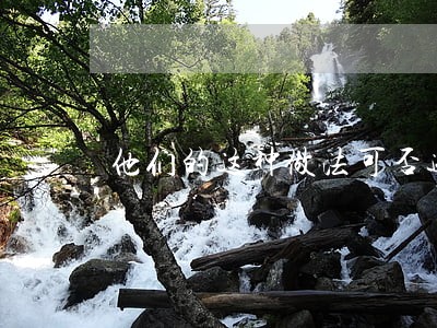 他们的这种做法可否违法 他们的这种做法可否违法