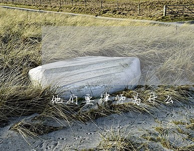 他们要律师为什么 他们要律师为什么