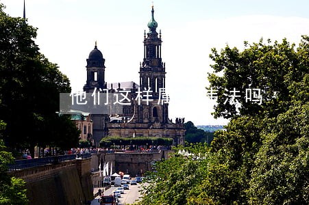 他们这样属于违法吗 他们这样属于违法吗