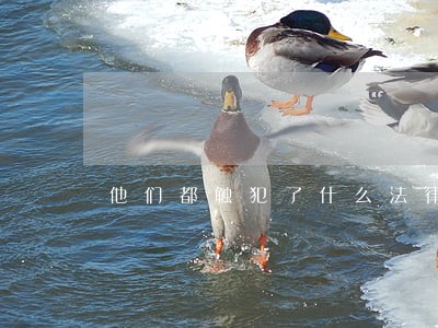 他们都触犯了什么法律责任 他们都触犯了什么法律责任