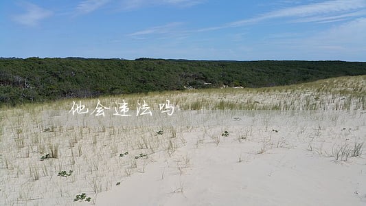 他会违法吗 他会违法吗