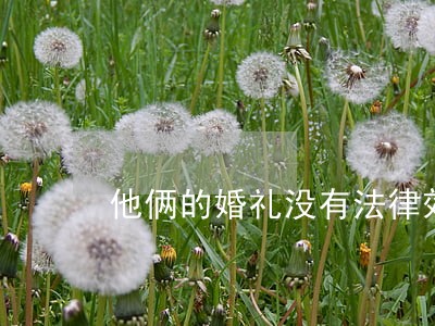 他俩的婚礼没有法律效力