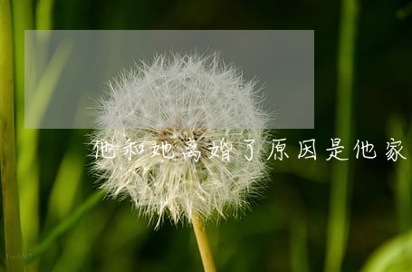 他和她离婚了原因是他家里有矿 他和她离婚了原因是他家里有矿