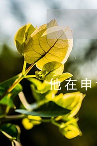 他在申请法院起诉我 他在申请法院起诉我