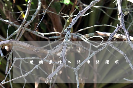 他妈逼什么法律法规呀 他妈逼什么法律法规呀