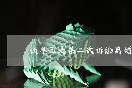 他早已是第二次诉讼离婚了 他早已是第二次诉讼离婚了