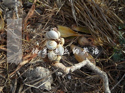 他是违法的英语 他是违法的英语