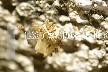 他签了离婚协议又反悔了 他签了离婚协议又反悔了
