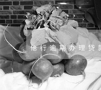 他行逾期办理贷款 他行逾期办理贷款
