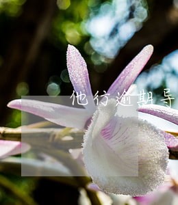 他行逾期导致信用卡降额