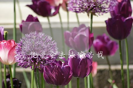 他说会去法院告我 他说会去法院告我