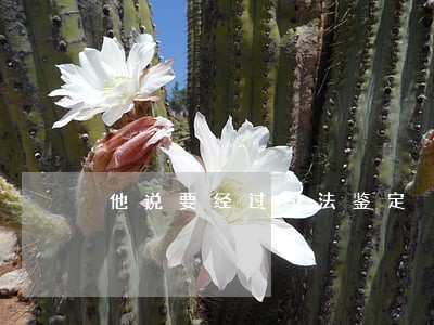 他说要经过司法鉴定