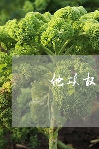 他项权证的房产法院可査封吗 他项权证的房产法院可査封吗