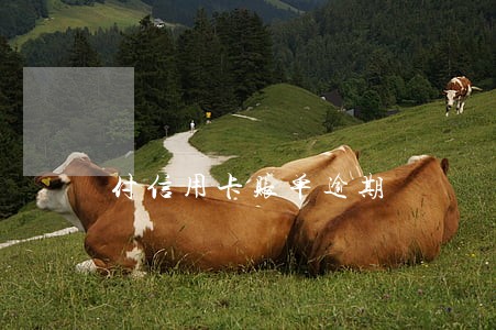 付信用卡账单逾期 付信用卡账单逾期