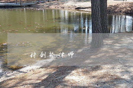 付剑桥律师 付剑桥律师