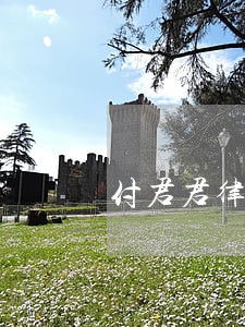 付君君律师 付君君律师